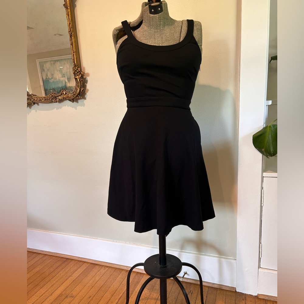 Banana Republic Black Fit and Flare Mini Dress